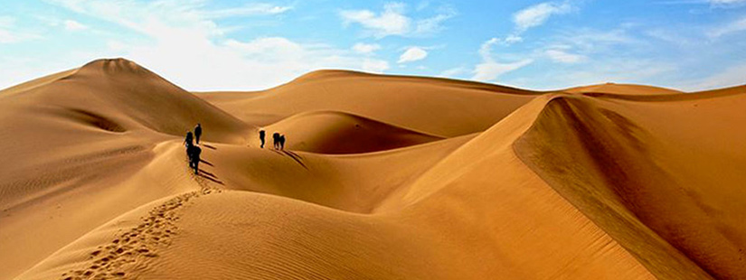 سفر رویایی به کویر مصر/ راهنمای جامع سفر به کویر مصر